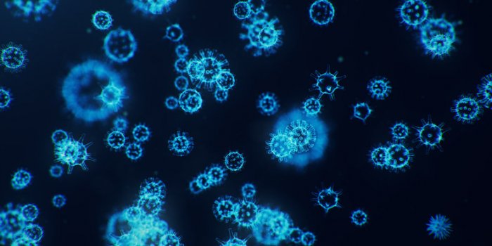 Cancer du sang : les symptômes à repérer