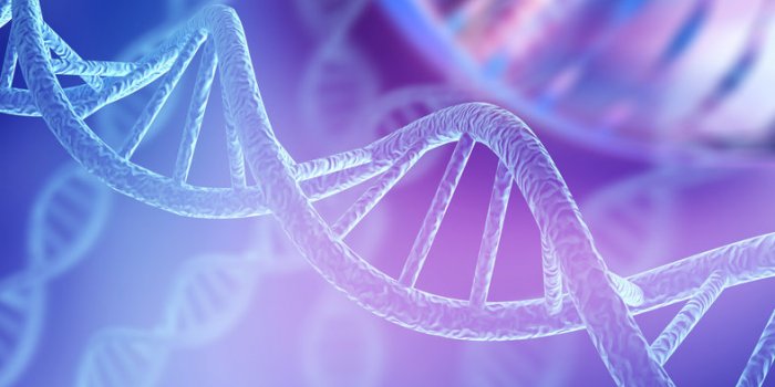 5 signes qui trahissent son infidélité, selon les scientifiques