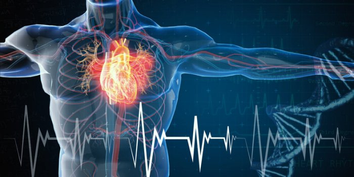 Poumon, foie, cÅur : les complications de la covid-19 Ã craindre