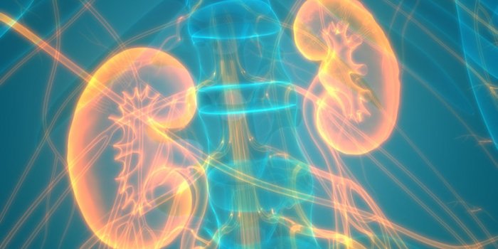 Poumon, foie, cÅur : les complications de la covid-19 Ã craindre