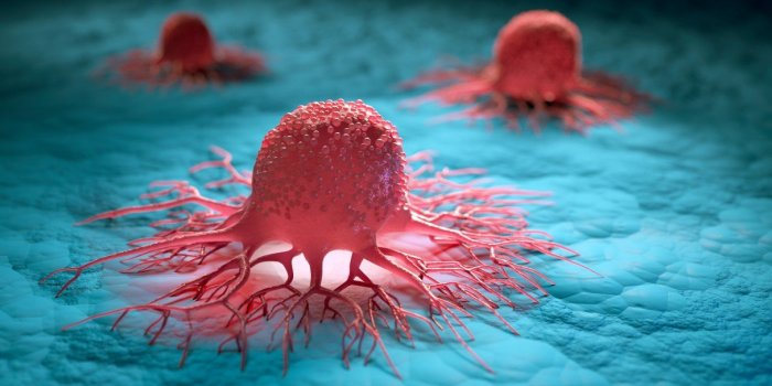 Ãtre célibataire augmente les risques de mort précoce