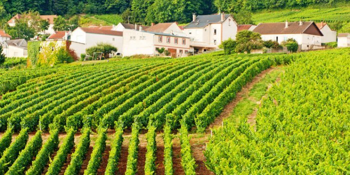Covid-19 : 8 départements ont un taux dâincidence supérieur à 100