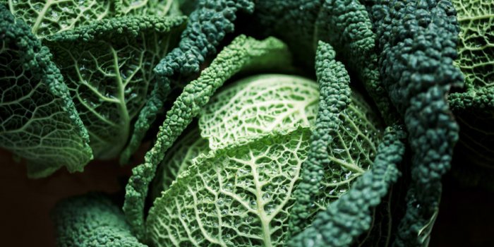 Ostéoporose : 10 aliments qui protègent