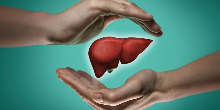 Alcool : 7 cancers où les risques augmentent si vous buvez