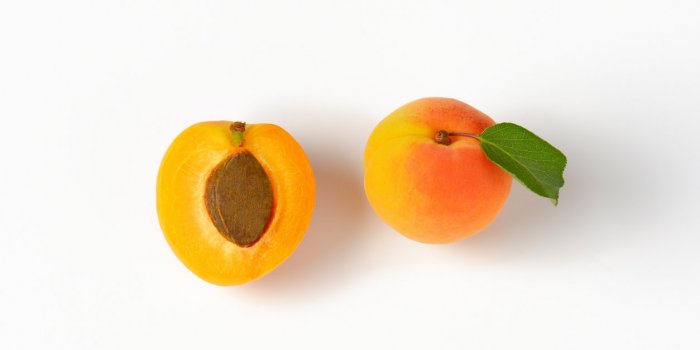 10 aliments à manger en priorité si vous avez la peau sèche