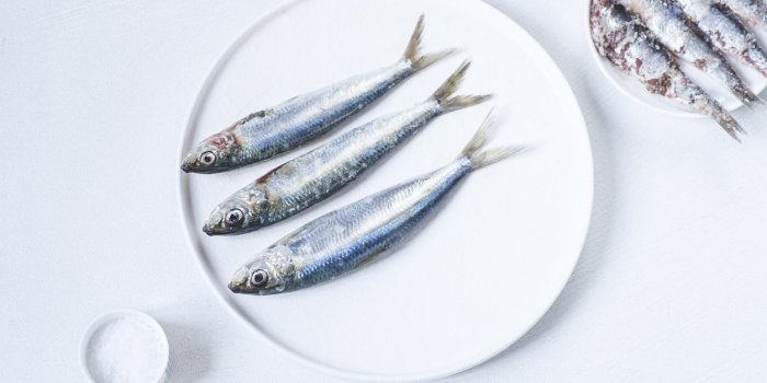 10 aliments à manger en priorité si vous avez la peau sèche