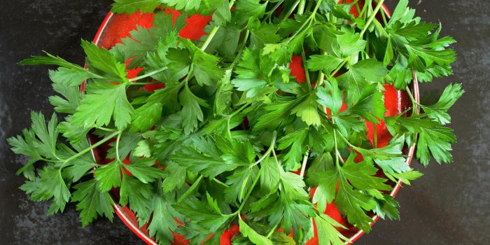Hypertension : ces 9 aliments riches en nitrate réduisent la tension selon un nutritionniste