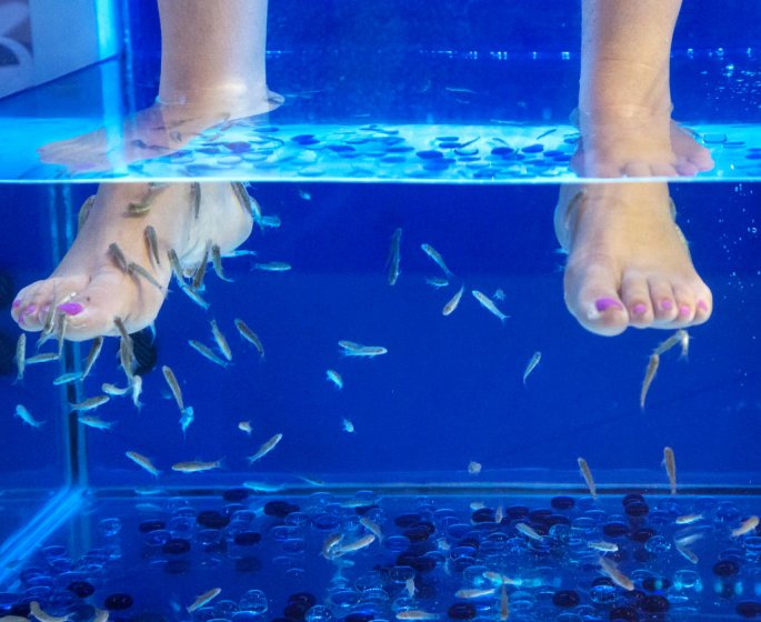 Fish Pedicure : on y va ou pas ?