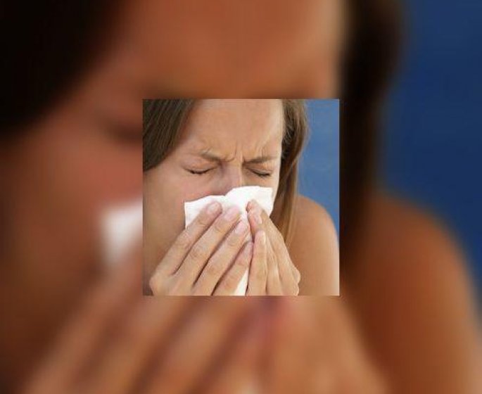 Allergie : lancement d-un nouveau site sur les allergies respiratoires