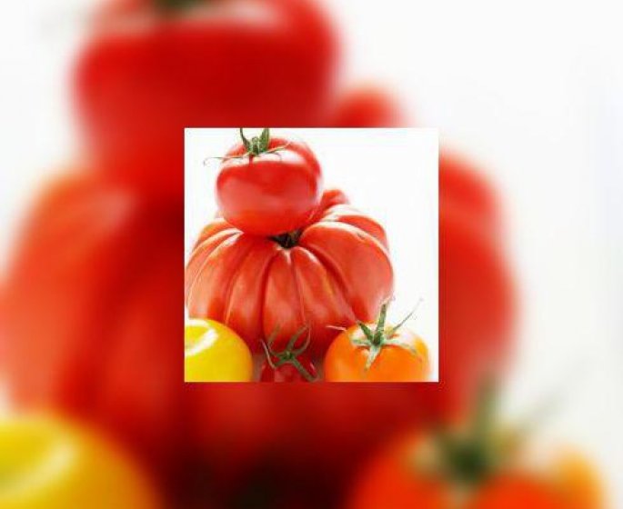 Preparez vos tomates pour l-hiver prochain !