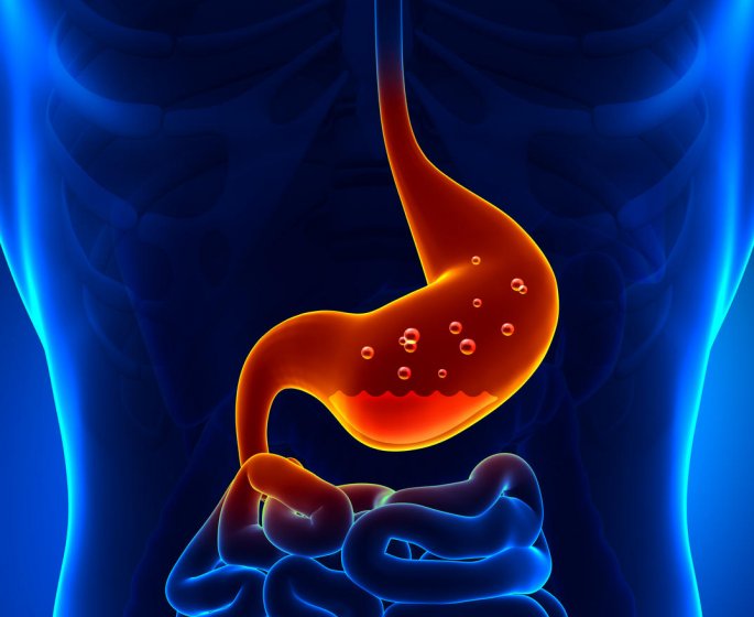 L-ulcere gastrique : a present, on en guerit !