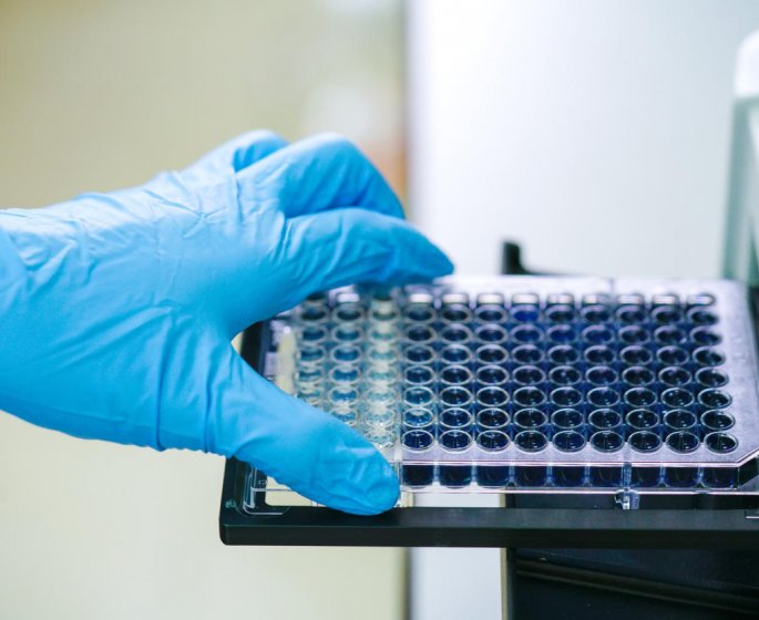 Diagnostic de la maladie de Lyme : les tests ELISA et Western Blot