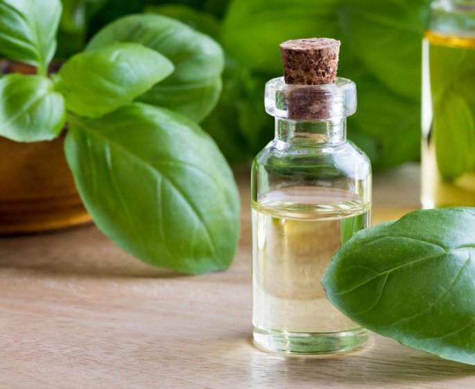 8 remedes naturels pour bien digerer