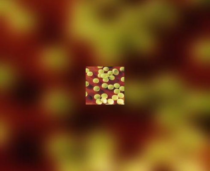 Forum e-sante tabac Champix® : dix extraits choisis