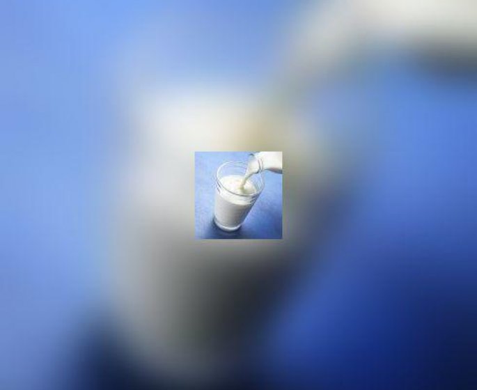 Un simple patch diagnostique l-allergie au lait de vache