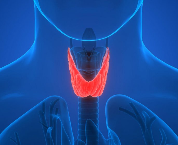 Hyperthyroidie : definition et symptomes