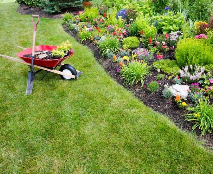 Jardin : une belle pelouse sans pesticides
