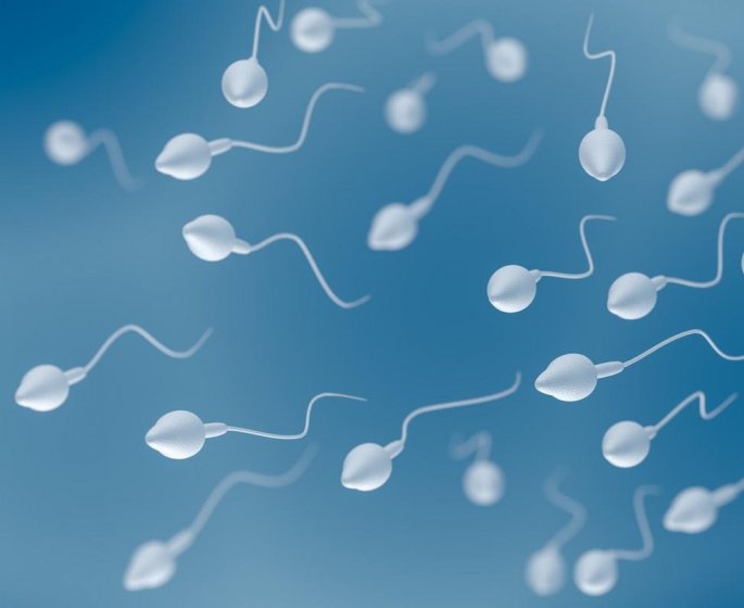 Pourquoi le sperme contient de moins en moins de spermatozoides