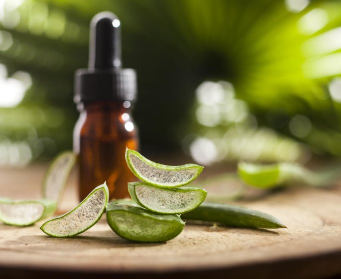 Quelles plantes pour reparer la peau ?