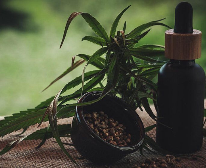 CBD et chanvre : ce qu’il faut savoir 