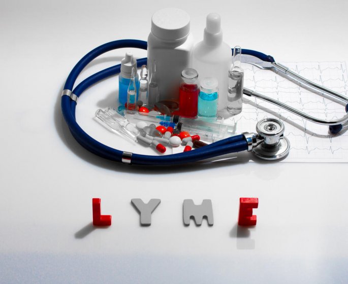 Maladie de Lyme : le traitement par antibiotiques
