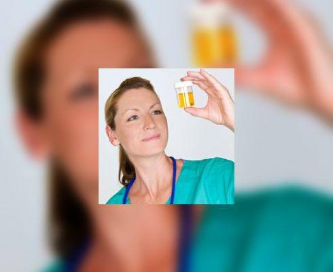 Cancer du rein : comment le depister ? Comment le prevenir ?