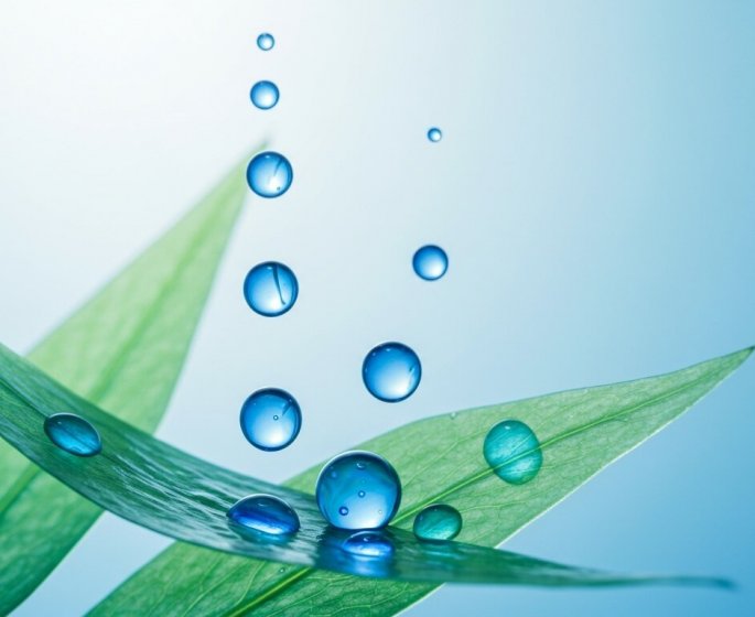 "Phycocyanine", le secret detox- de la spiruline