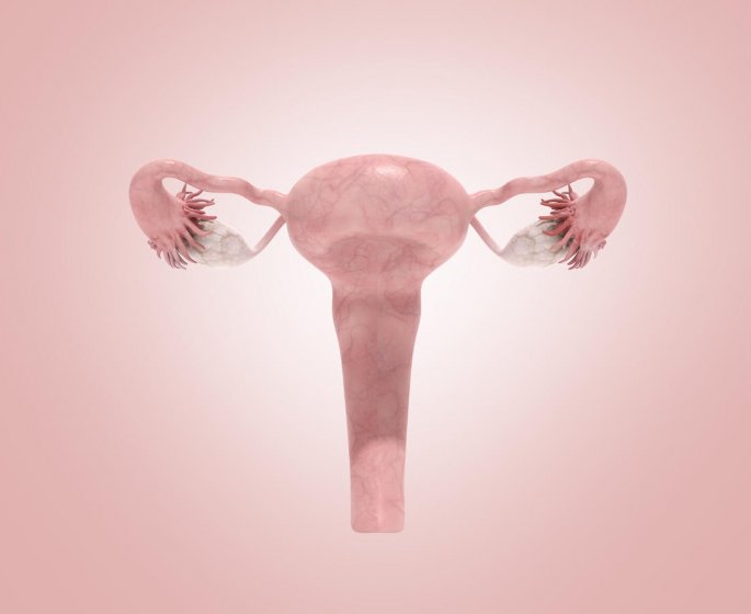 Cancer de l-uterus : le cancer de l-endometre