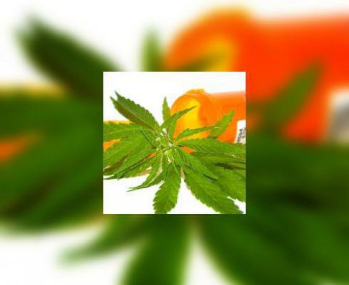 Cannabis : drogue et medicament ?