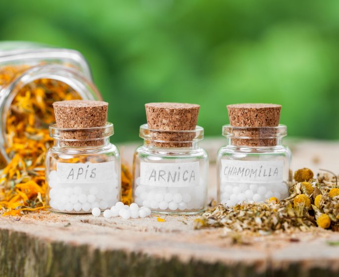 L-arnica : petite fleur, grande utilite !