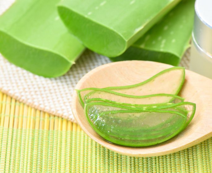 Comment utiliser l’aloe vera ?