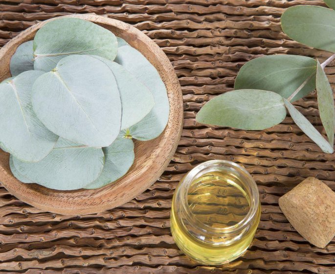 Contre le rhume : essayez le menthol et l-eucalyptus