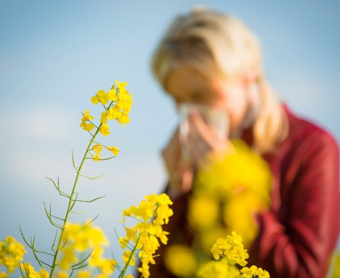 Rhume des foins : a quelles periodes ?
