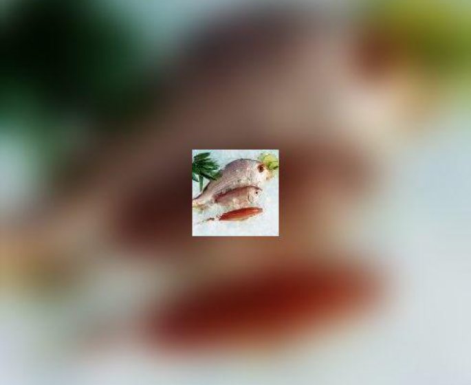 Focus sur les omega-3