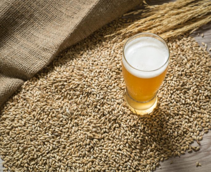 Phytotherapie : 3 bienfaits de la levure de biere