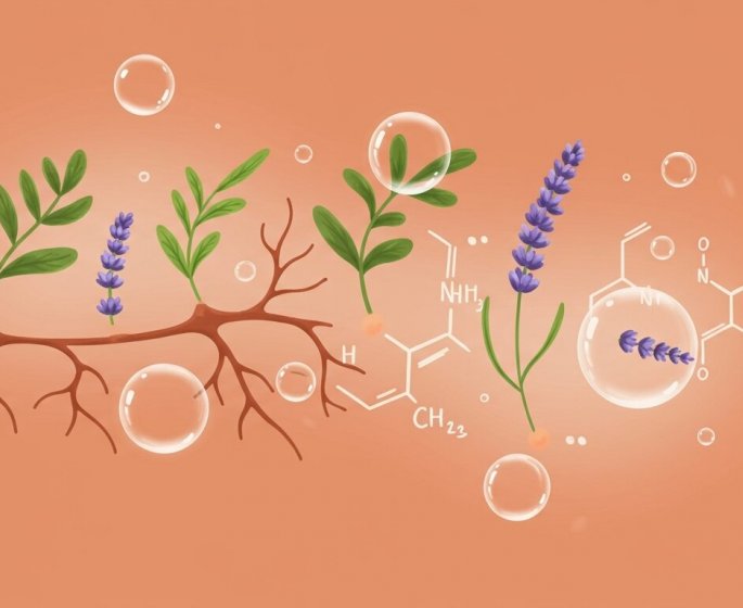 Bio-complexes : la science au banc d-essai pour une efficacite prouvee