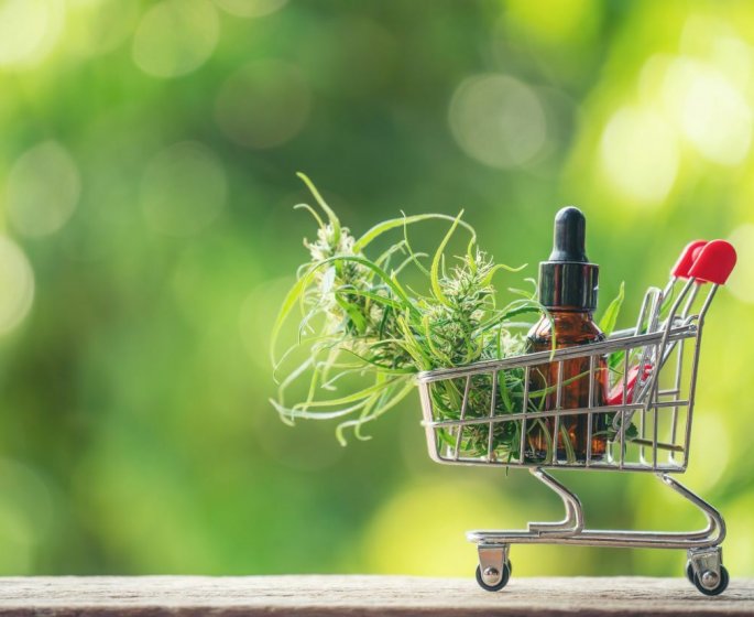Bien-etre et expansion a l-international : le phenomene de la marketplace CBD