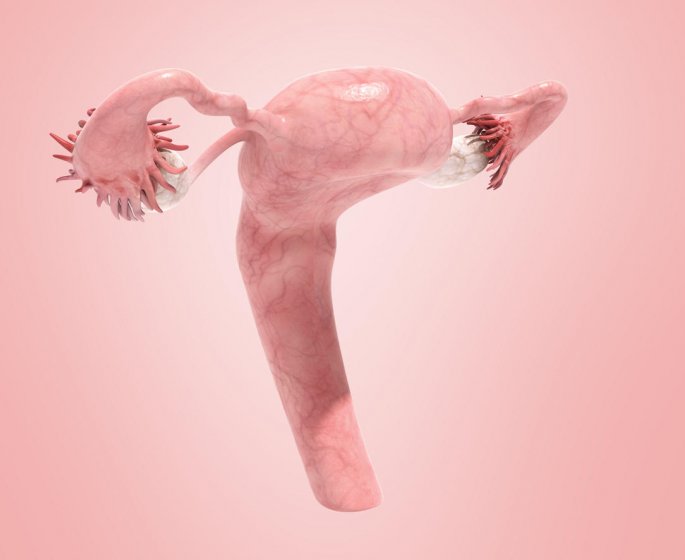 Cancer du col de l-uterus : a quoi sert le frottis
