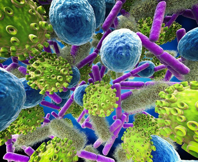 Zoom sur les bacteries, virus et autres germes