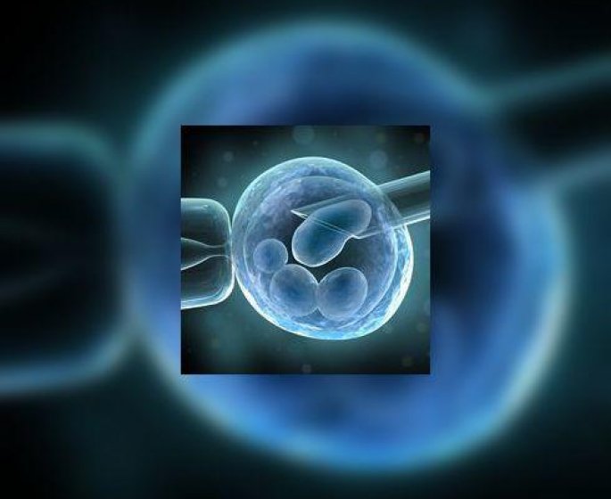 Aide a la procreation : qu-est-ce que la fecondation in vitro ?