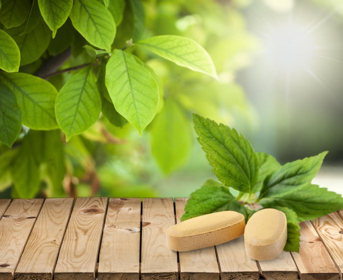 Quelles plantes contre le cholesterol ?