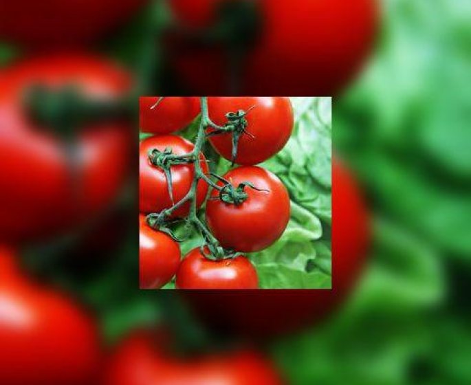 Contre le cholesterol : tomate ou medicament ?
