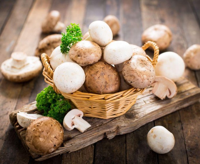 Champignon comestible, champignon toxique : 10 idees recues. Vraies ou fausses ?