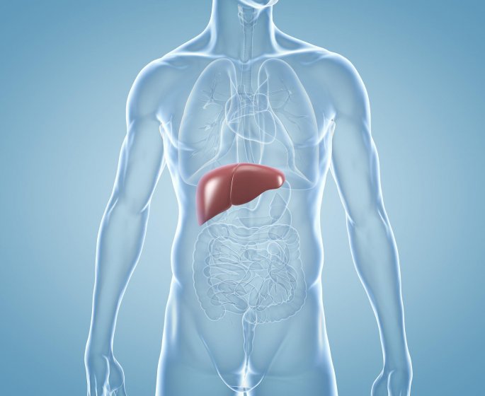 Hepatites A,B,C,D,E : l’alphabet des malheurs du foie