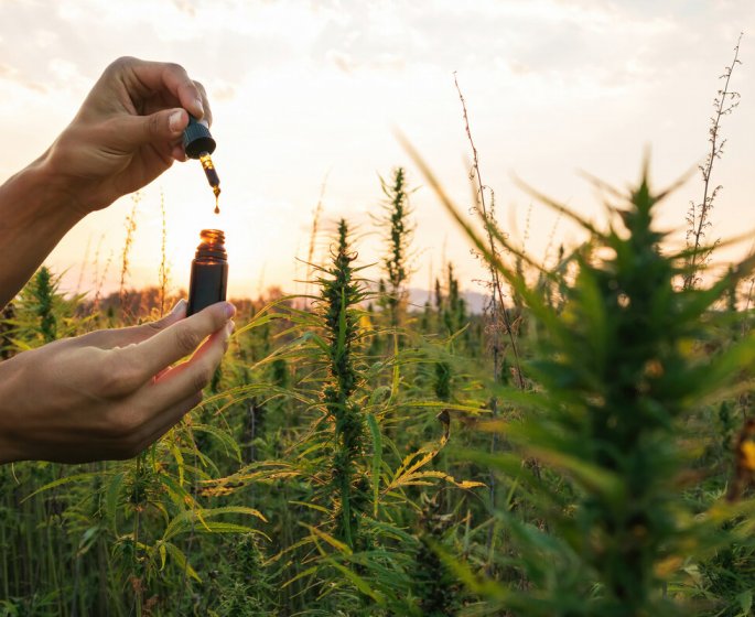 Ou acheter du CBD de qualite ?