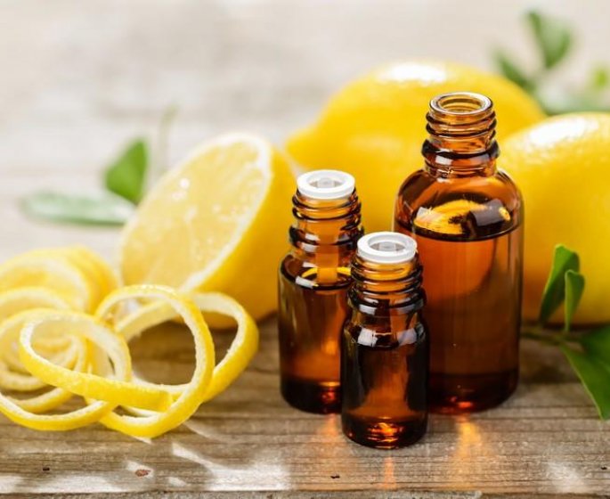 Les meilleures huiles essentielles anti moustiques !