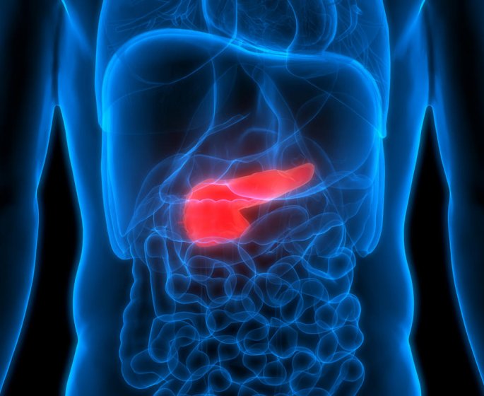 Quels sont les symptomes du cancer du pancreas ?