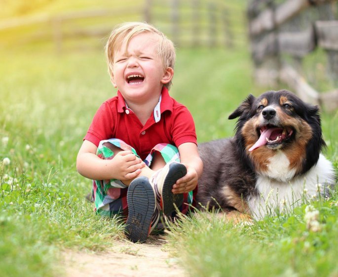 Que faire, mon enfant s-est fait mordre par un chien ?