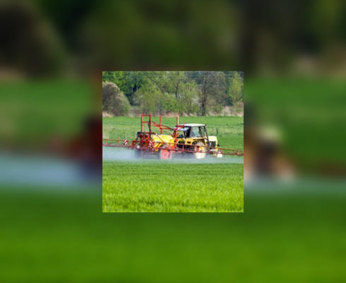 Pesticides : quels sont les vrais risques pour notre sante ?