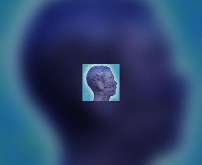 Contre Alzheimer, activez votre cerveau !